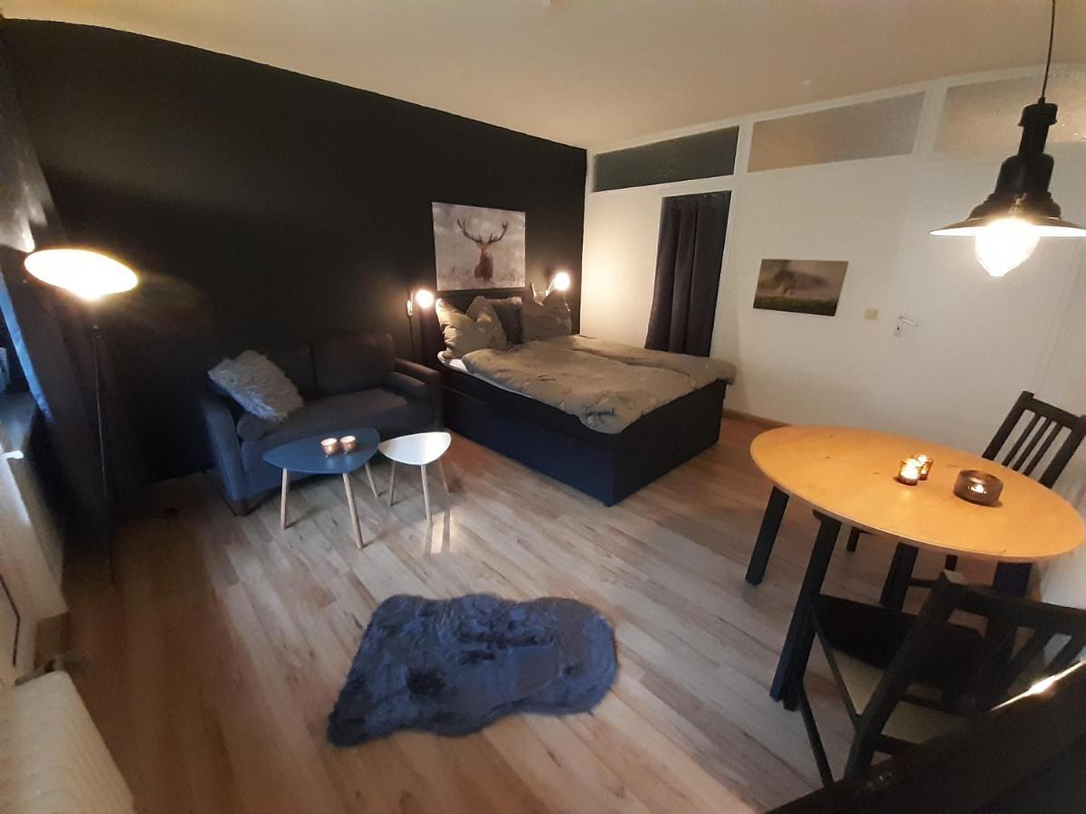 Apartmenthaus Joern Wieda Buitenkant foto